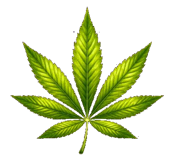 420